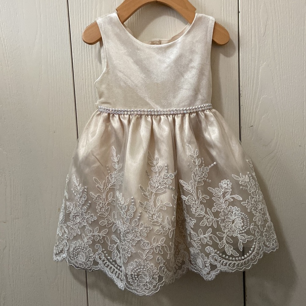 Sweet Heart Rose Cream Formal Occasion Dress